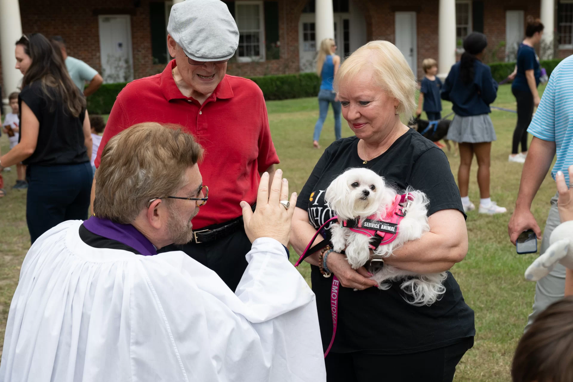 Blessing Of The Animals 82816.webp